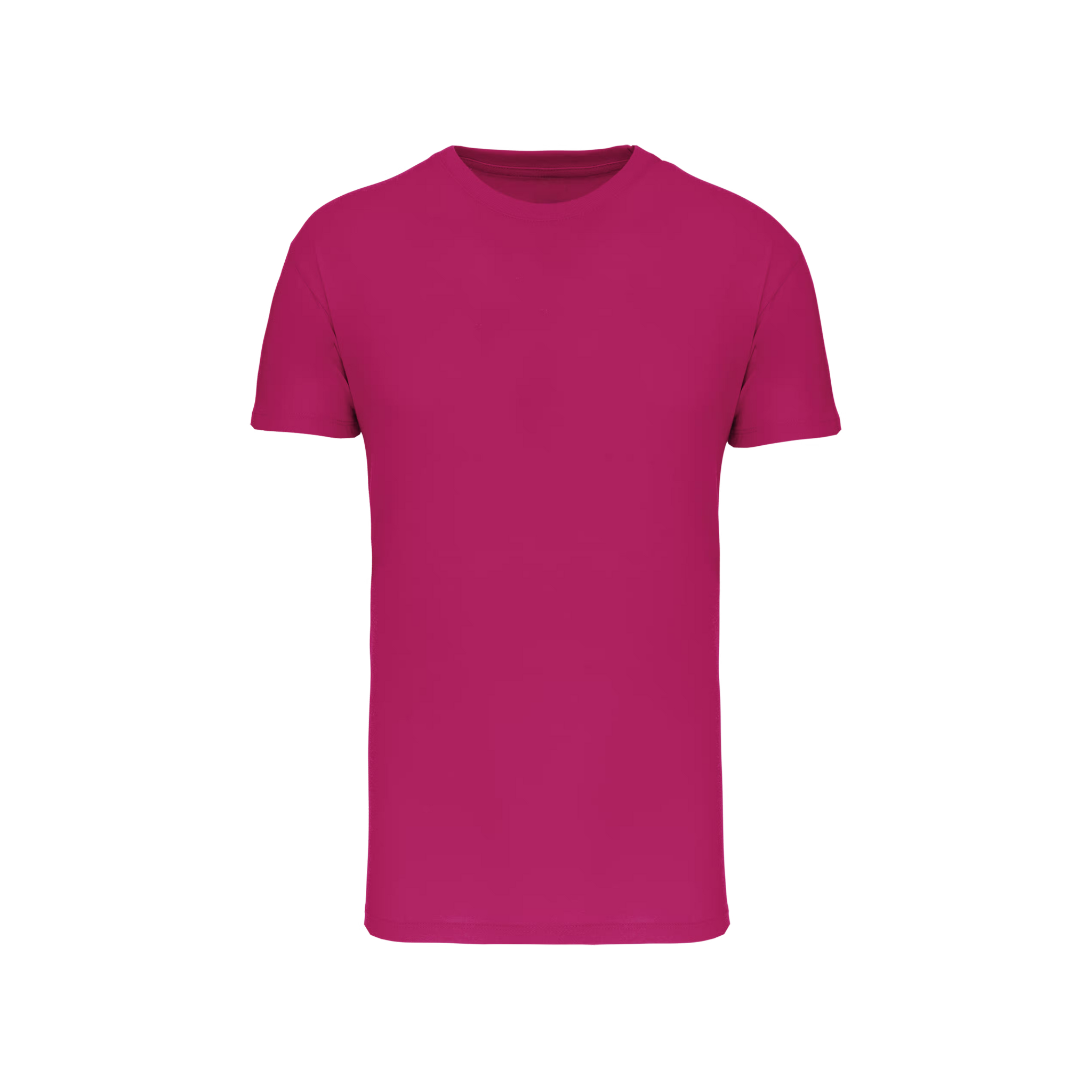 HGG ORGANIC T-Shirt Men | Team